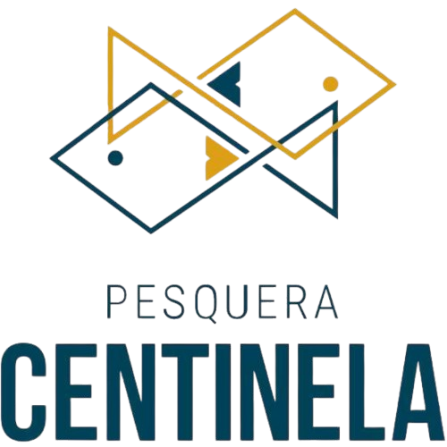 Cliente 5